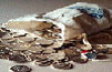 [ Northern Refineries - Coin Silver ]