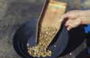 [ Northern Refineries - Gold Casting Shot ]